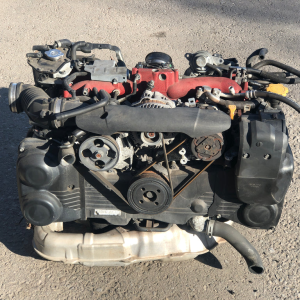 Buy JDM EJ207 V10 WRX STi Engine Online, buy jdm ej207 v10 engine, ej207 v10 for sale, wrx sti ej207 swap, ej207 closed deck v10 motor, subaru ej207 avcs v10 turbo, buy ej207 v10 sti engine online, jdm ej207 v10 import, ej207 v10 complete engine swap, buy wrx sti ej207 v10 2.0l motor, ej207 v10 2008 engine, ej207 v10 2018 motor, ej207 avcs v10 engine online, subaru ej207 turbocharged v10, buy ej207 v10 swap kit, ej207 v10 sti engine with turbo, vf49 ej207 v10 for sale, buy ej207 v10 long block, ej207 v10 2.0 engine swap kit online, ej207 v10 sti 2008 engine import, jdm ej207 v10 tested engine, subaru ej207 vf49 swap, buy ej207 v10 low mileage jdm, ej207 v10 motor for sale jdm, wrx sti jdm ej207 v10 avcs swap, subaru ej207 v10 crate engine online, buy ej207 v10 turbo engine jdm, ej207 v10 sti avcs motor, jdm ej207 v10 vf49 turbocharged, ej207 v10 engine import usa, jdm ej207 v10 2.0l sti kit, buy jdm ej207 v10 vf49 turbo swap, jdm ej207 v10 sti engine europe shipping, ej207 v10 2008 engine online, ej207 v10 2010 engine buy, ej207 v10 2015 jdm import, ej207 v10 2018 jdm for sale, subaru ej207 v10 engine with harness, jdm ej207 v10 vf49 turbocharger, buy ej207 v10 2.0l turbo motor, ej207 v10 swap package online, subaru ej207 v10 2.0l jdm import, buy ej207 v10 wrx sti engine, ej207 v10 jdm avcs sale, ej207 v10 turbocharged jdm motor, jdm ej207 v10 complete swap online, subaru ej207 v10 vf49 turbo buy, ej207 v10 japan import, ej207 v10 engine jdmcarpart.com, jdm ej207 v10 turbocharged 2.0 engine, ej207 v10 vf49 turbo jdm swap, buy ej207 v10 avcs engine, ej207 v10 wrx swap kit online, jdm ej207 v10 vf49 for sale usa, ej207 v10 vf49 turbo jdm motor, ej207 v10 2008-2018 engine buy, subaru ej207 v10 vf49 jdm engine, ej207 v10 jdm tested motor for sale, ej207 v10 engine swap direct fit, jdm ej207 v10 vf49 turbo upgrade, ej207 v10 wrx sti motor online, ej207 v10 dual avcs import europe, ej207 v10 vf49 turbo tested jdm, ej207 v10 engine pallet shipping, ej207 v10 japan low mileage motor, ej207 v10 crate engine jdmcarpart, ej207 v10 vf49 turbocharged jdm import, ej207 v10 swap for wrx sti online, ej207 v10 vf49 turbo subaru motor, ej207 v10 wrx engine replacement buy, ej207 v10 jdm complete motor kit, ej207 v10 dual avcs turbo engine, ej207 v10 vf49 turbocharger buy jdm, ej207 v10 japan engine import sale, ej207 v10 vf49 turbo 300hp motor, ej207 v10 2.0 engine with turbo buy, ej207 v10 vf49 turbo swap tested, ej207 v10 wrx sti engine 2008-2018, ej207 v10 turbo swap package online, ej207 v10 japan market engine sale, ej207 v10 vf49 turbo avcs motor buy, ej207 v10 dual avcs vf49 turbo kit, ej207 v10 complete engine tested jdm, ej207 v10 vf49 turbo jdmcarpart buy, ej207 v10 wrx jdm direct swap kit, ej207 v10 engine europe delivery buy, ej207 v10 vf49 turbocharger kit sale, ej207 v10 low mileage jdm tested engine, ej207 v10 wrx sti swap kit 2.0l, ej207 v10 japan engine online shop, ej207 v10 vf49 turbo jdm upgrade buy, ej207 v10 dual avcs vf49 subaru swap, ej207 v10 tested jdm vf49 turbo motor, ej207 v10 engine shipping worldwide buy, ej207 v10 wrx jdmcarpart.com import, ej207 v10 vf49 turbo low mileage sale, ej207 v10 2.0l dual avcs tested engine, ej207 v10 vf49 turbo subaru wrx swap, ej207 v10 jdm import package buy, ej207 v10 vf49 turbo motor japan sale, ej207 v10 complete swap wrx sti online, ej207 v10 vf49 turbo tested jdmcarpart, ej207 v10 wrx sti 2.0l jdm engine, ej207 v10 turbocharged engine direct import, ej207 v10 vf49 turbocharger online buy, ej207 v10 wrx tested jdm motor kit, ej207 v10 dual avcs vf49 jdm tested swap, ej207 v10 engine palletized freight buy, ej207 v10 wrx 2.0l turbo swap kit sale, ej207 v10 vf49 turbocharged subaru import, ej207 v10 jdm engine shop online buy, ej207 v10 vf49 turbo japan import motor, ej207 v10 wrx sti tested 2008-2018 engine, ej207 v10 vf49 turbocharger tested swap, ej207 v10 wrx 2.0l jdm engine motor sale, ej207 v10 vf49 turbo tested japan import, ej207 v10 wrx sti swap package jdm buy, ej207 v10 vf49 turbocharged tested engine, ej207 v10 wrx sti jdmcarpart.com motor buy.